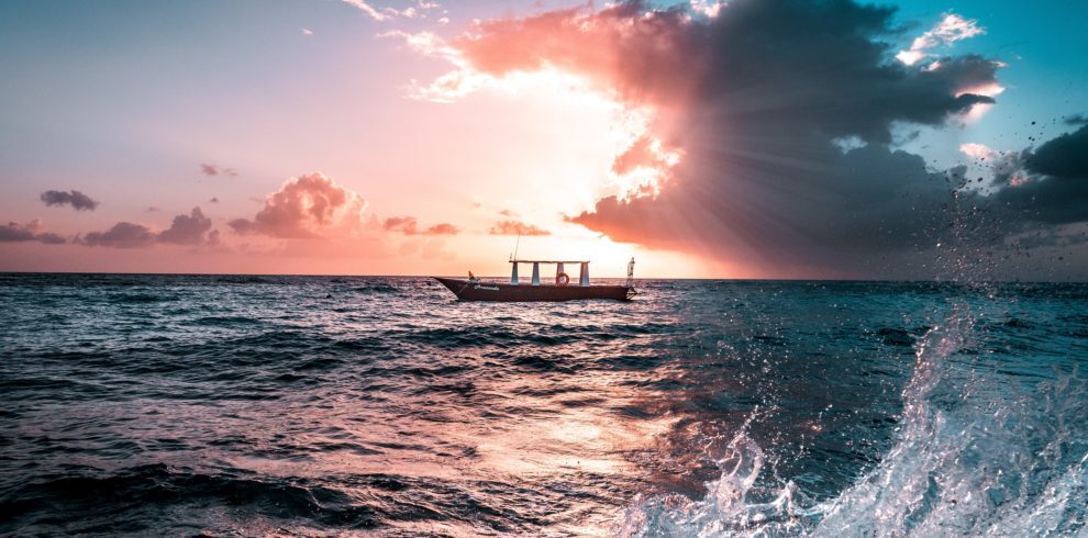 A glass bottom boat cruise