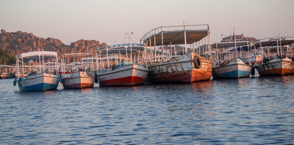 hamed-taha-803757-unsplash-990×490